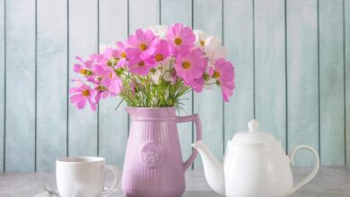 En İyi Çay Makinesi Tavsiyeleri 2025 | Karşılaştırma ve Kullanıcı Yorumları